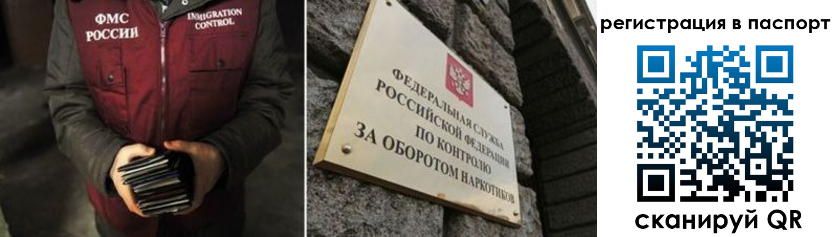 прописка законно в Петропавловске-Камчатском